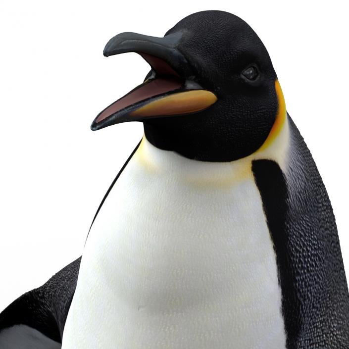 Penguin Pose 2 3D model