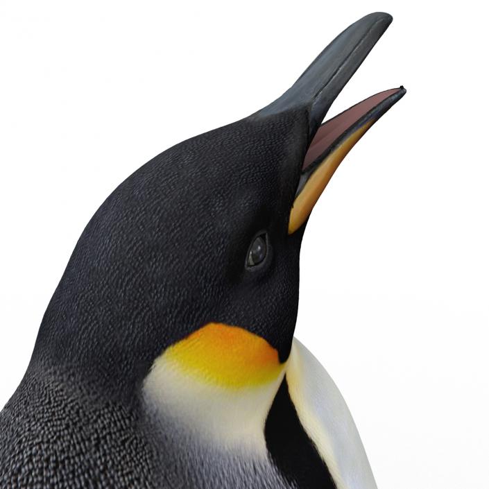 Penguin Pose 2 3D model