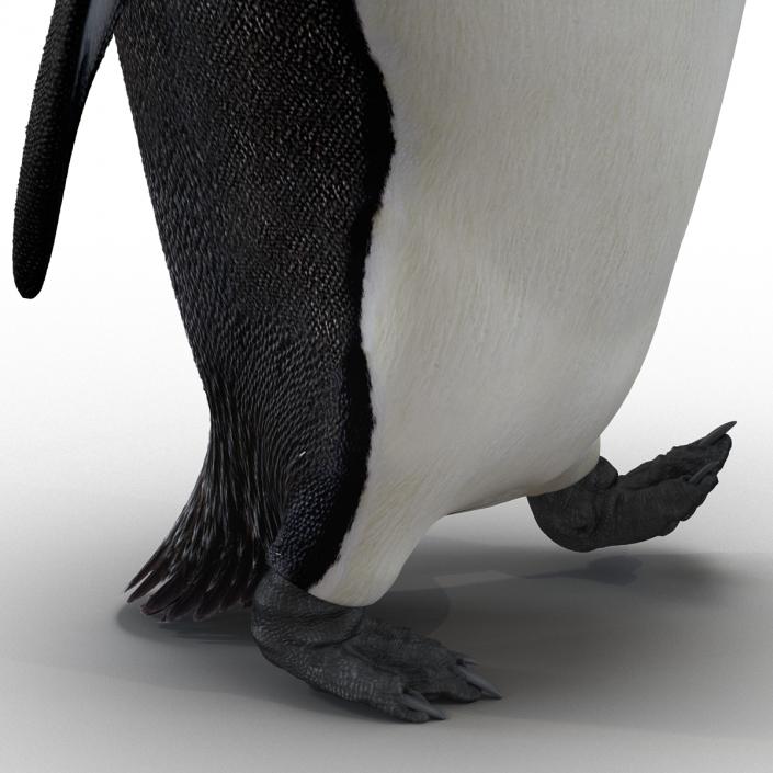 Penguin Pose 2 3D model