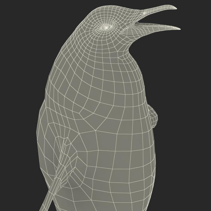 Penguin Pose 2 3D model