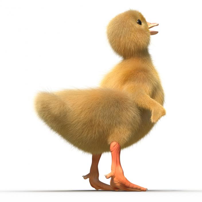 3D model Duckling Rigged