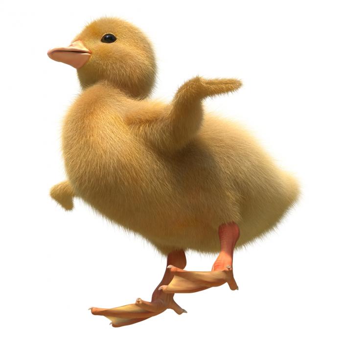 3D model Duckling Rigged