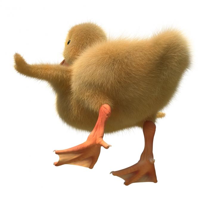 3D model Duckling Rigged