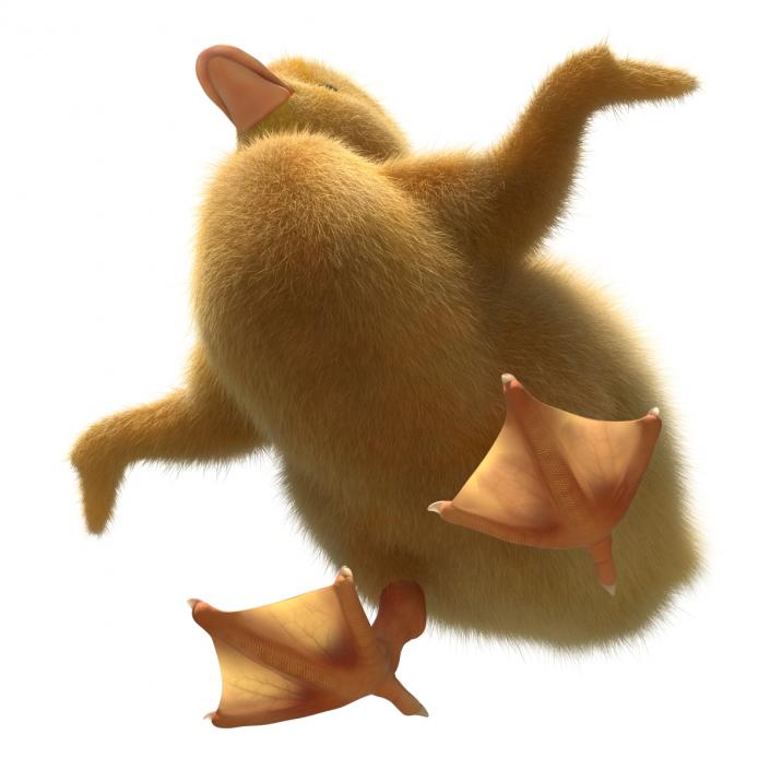 3D model Duckling Rigged