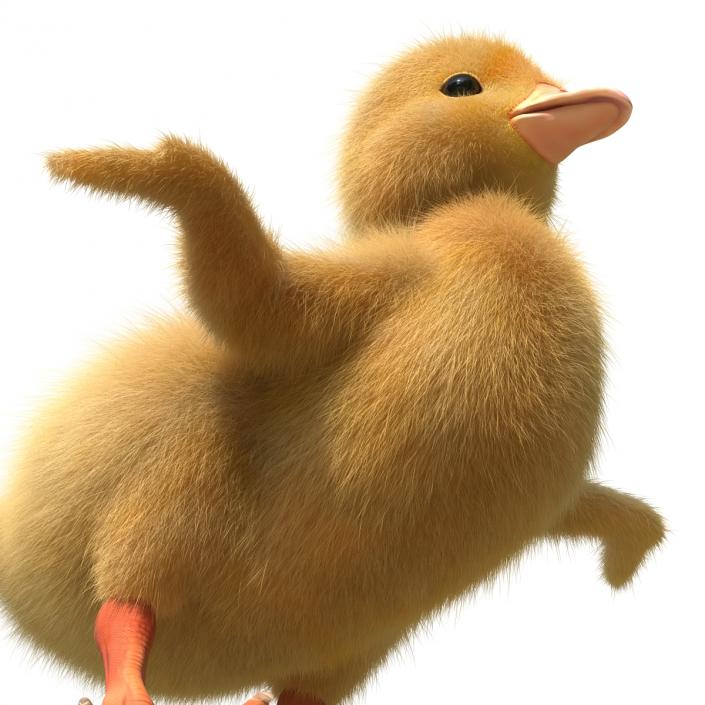 3D model Duckling Rigged