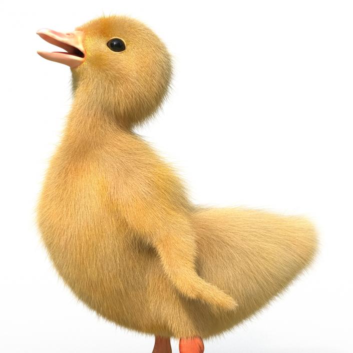 3D model Duckling Rigged