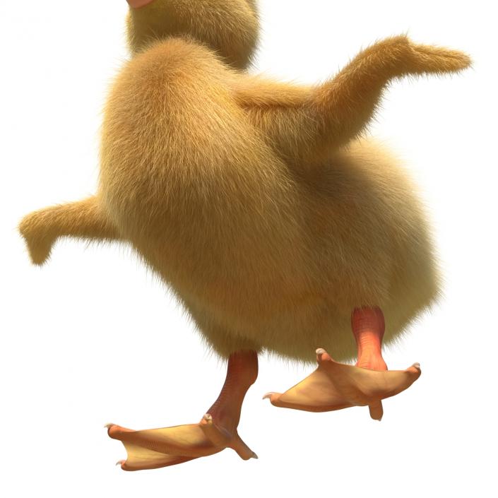 3D model Duckling Rigged