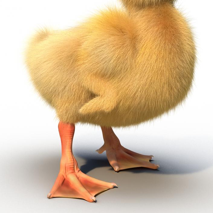 3D model Duckling Rigged