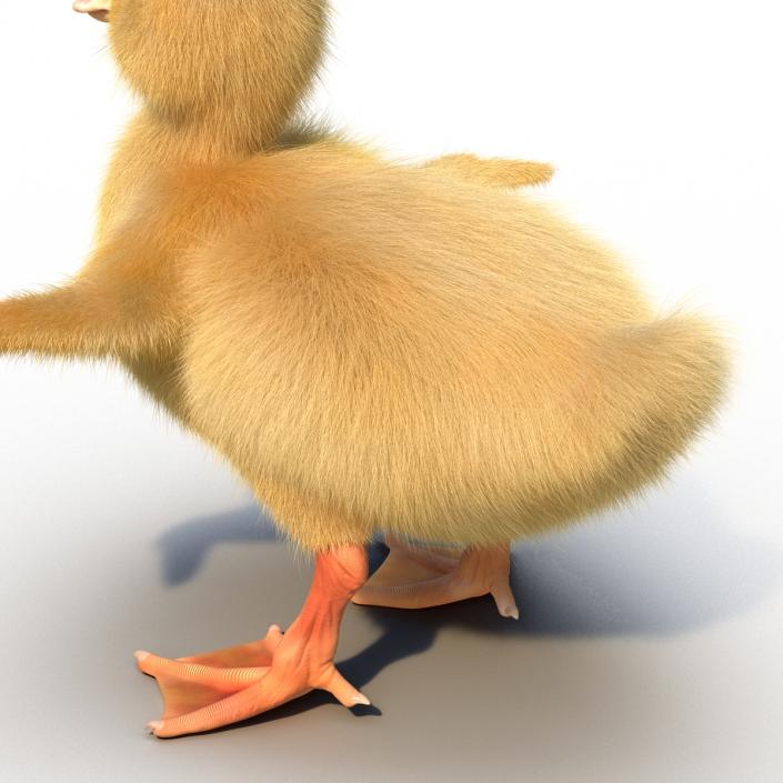 3D model Duckling Rigged