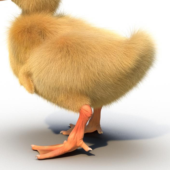 3D model Duckling Rigged