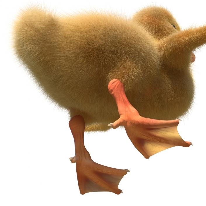 3D model Duckling Rigged