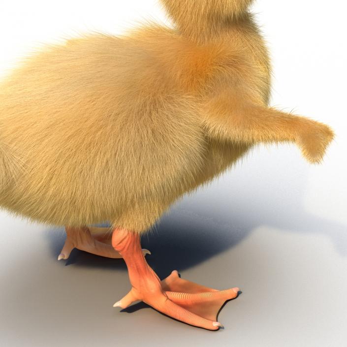 3D model Duckling Rigged