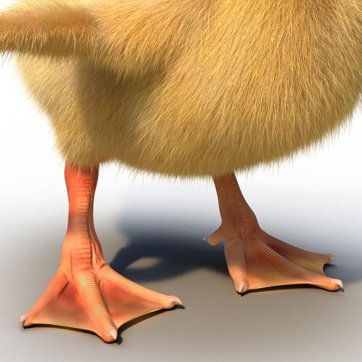 3D model Duckling Rigged