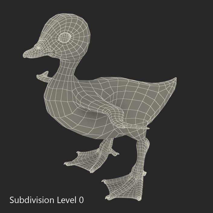 3D model Duckling Rigged