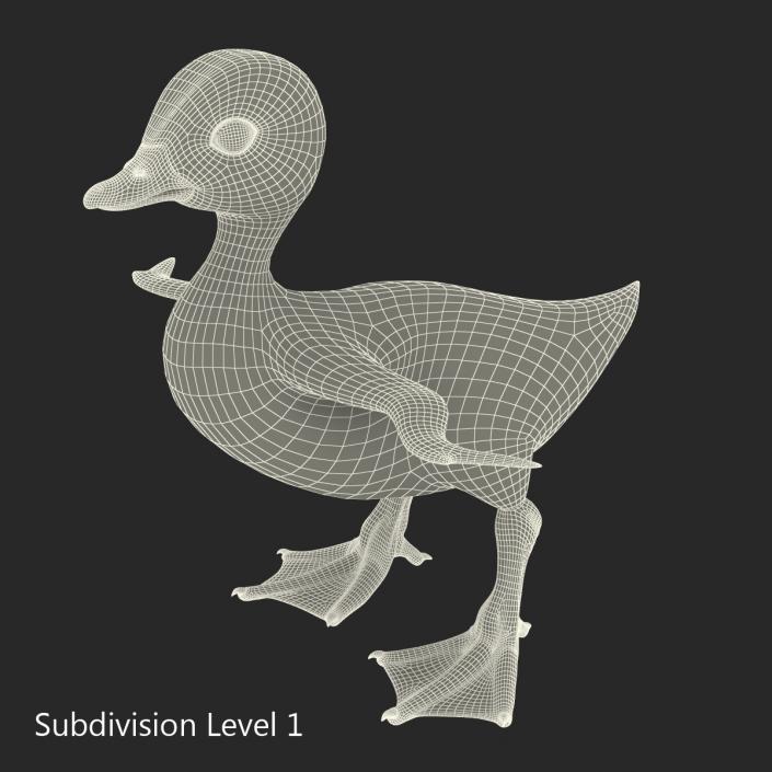 3D model Duckling Rigged