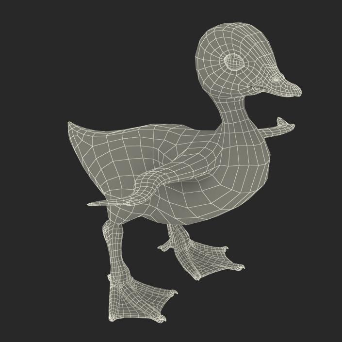 3D model Duckling Rigged