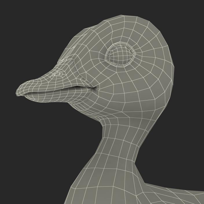 3D model Duckling Rigged