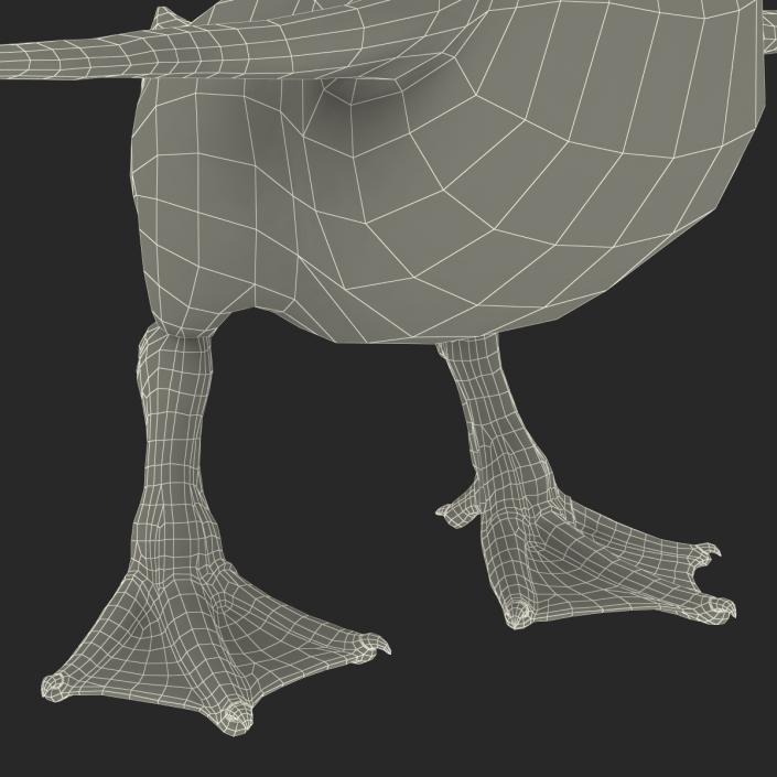 3D model Duckling Rigged