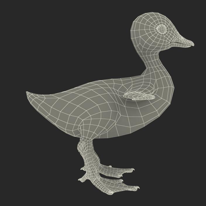 3D model Duckling