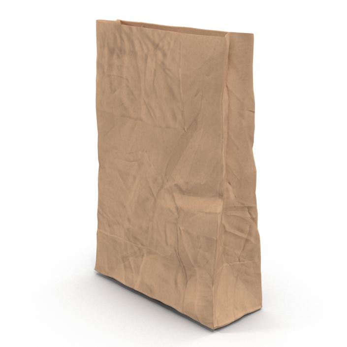 3D Crumpled Fast Food Paper Bag model