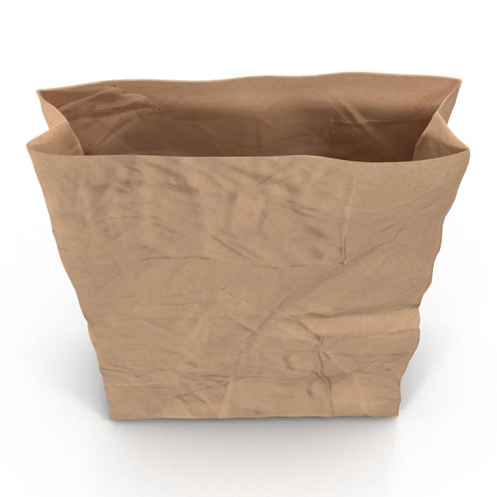 3D Crumpled Fast Food Paper Bag model