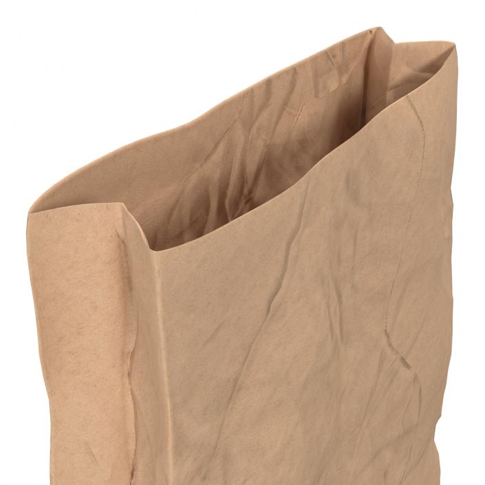 3D Crumpled Fast Food Paper Bag model