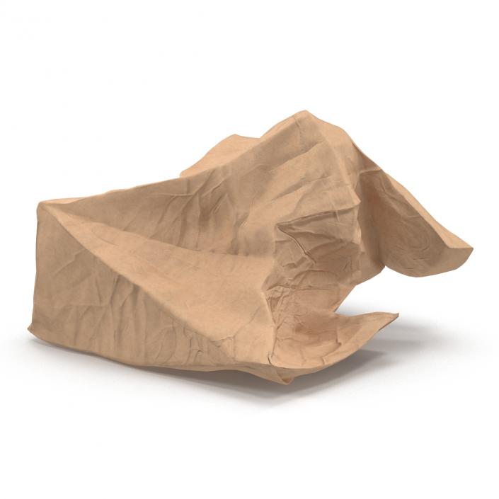 3D model Crumpled Fast Food Paper Bag 2