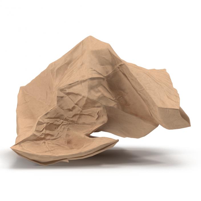 3D model Crumpled Fast Food Paper Bag 2