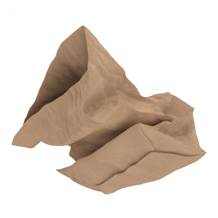 3D model Crumpled Fast Food Paper Bag 2