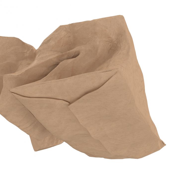 3D model Crumpled Fast Food Paper Bag 2