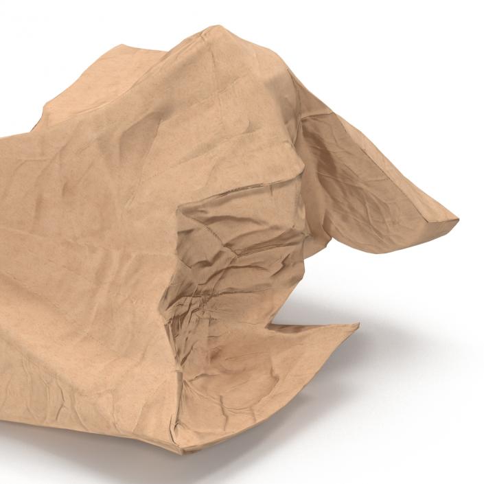 3D model Crumpled Fast Food Paper Bag 2