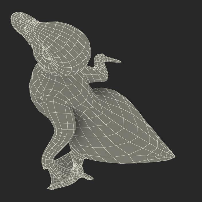 3D model Duckling Pose 4