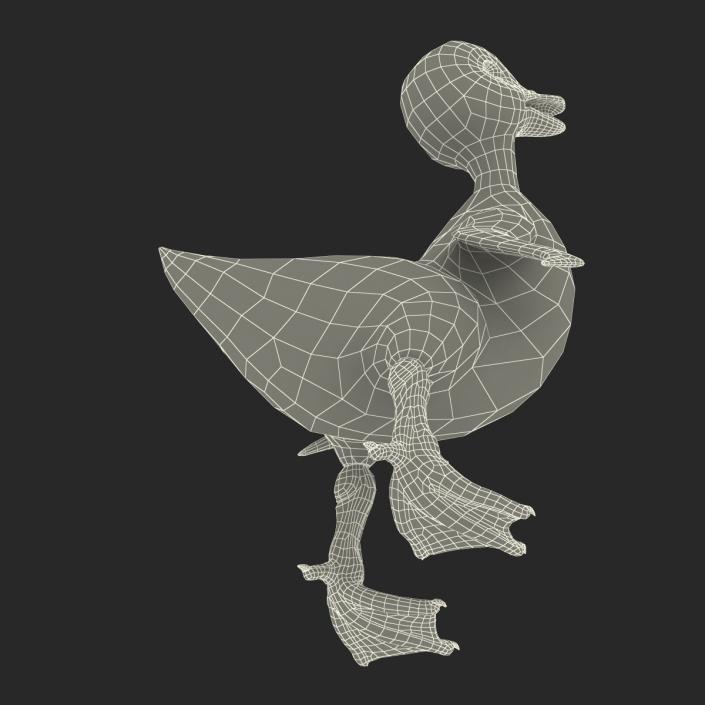 3D model Duckling Pose 4