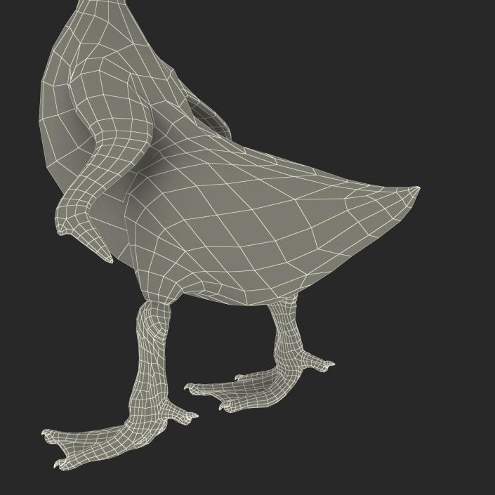 3D model Duckling Pose 4