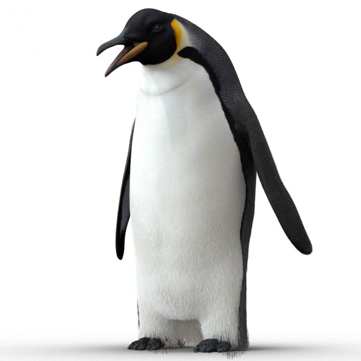 3D Penguin Pose 3 with Fur model