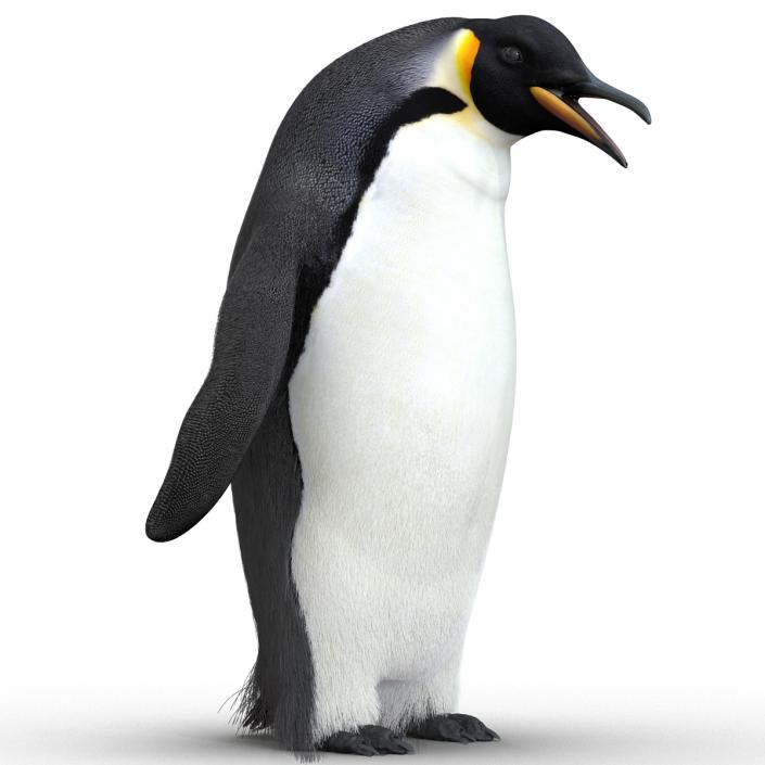 3D Penguin Pose 3 with Fur model