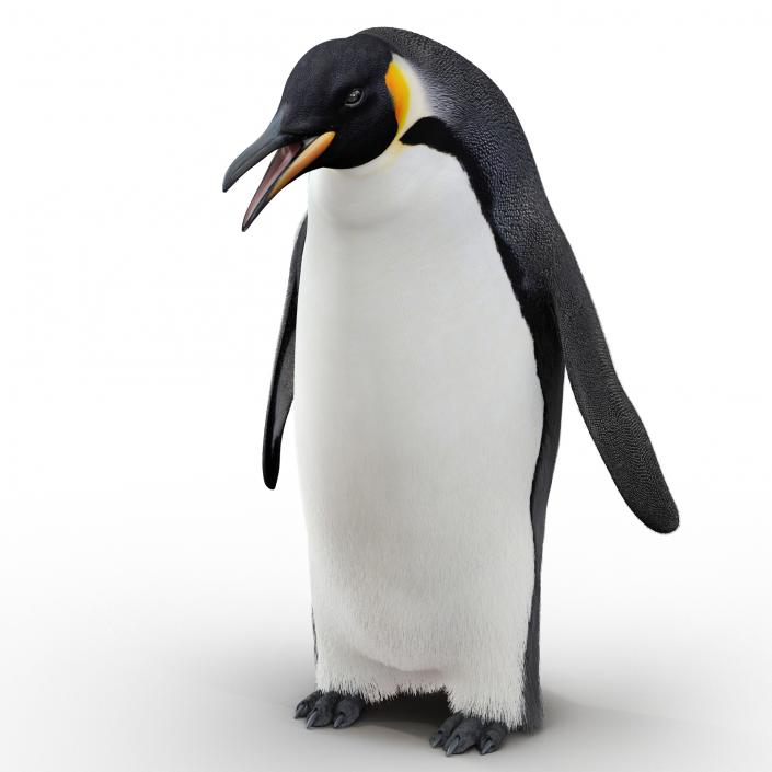 3D Penguin Pose 3 with Fur model