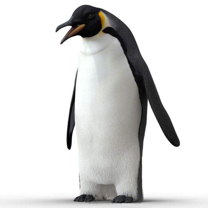 3D Penguin Pose 3 with Fur model