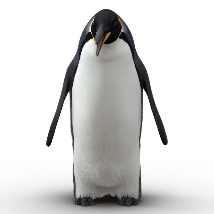 3D Penguin Pose 3 with Fur model