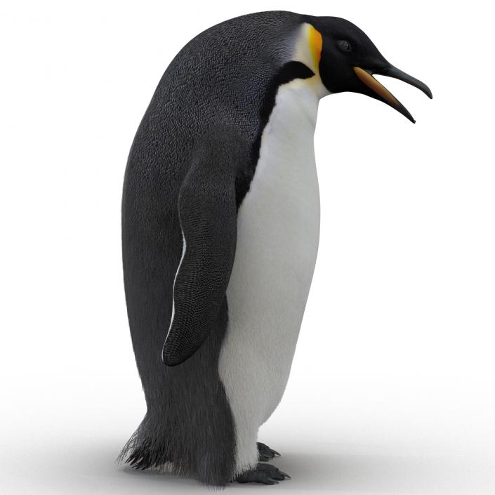 3D Penguin Pose 3 with Fur model