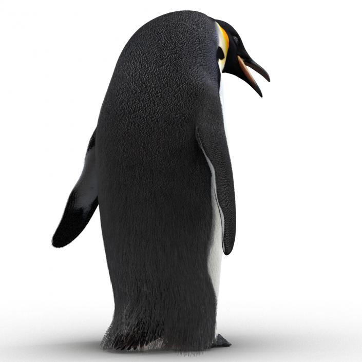 3D Penguin Pose 3 with Fur model