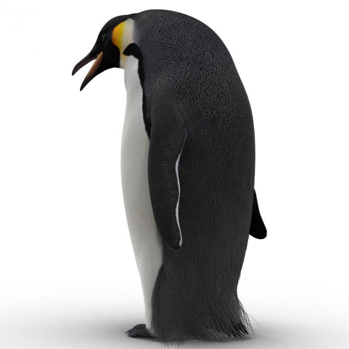 3D Penguin Pose 3 with Fur model