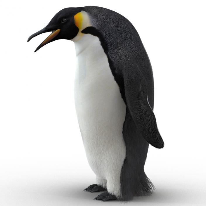 3D Penguin Pose 3 with Fur model