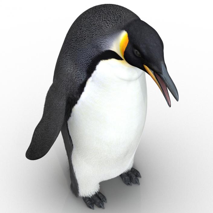 3D Penguin Pose 3 with Fur model