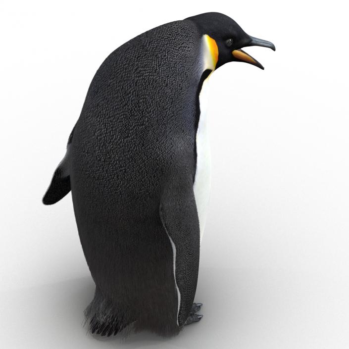 3D Penguin Pose 3 with Fur model