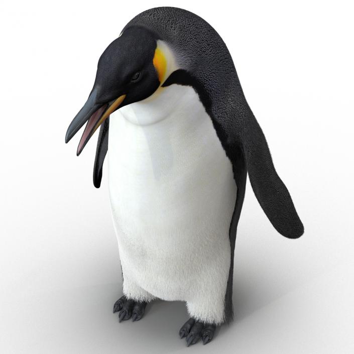 3D Penguin Pose 3 with Fur model