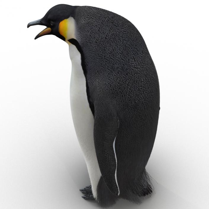 3D Penguin Pose 3 with Fur model