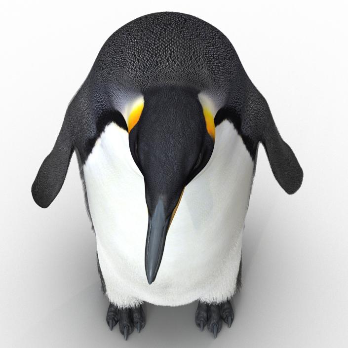 3D Penguin Pose 3 with Fur model