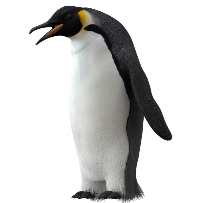 3D Penguin Pose 3 with Fur model