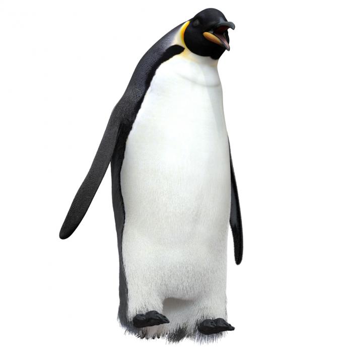 3D Penguin Pose 3 with Fur model